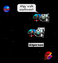 Algernon in space.