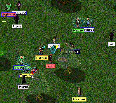 Photo and Visionstone Gallery